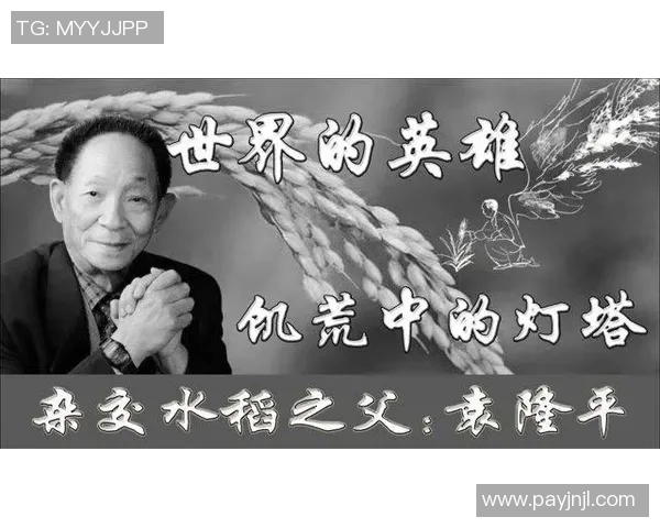 永不认输的中国足球英雄 他的坚韧与奋斗成就传奇